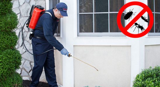 Gevaş Dezenfeksiyon böcek ilaçlama ve haşere kontrolü — ilaclama-tr.com